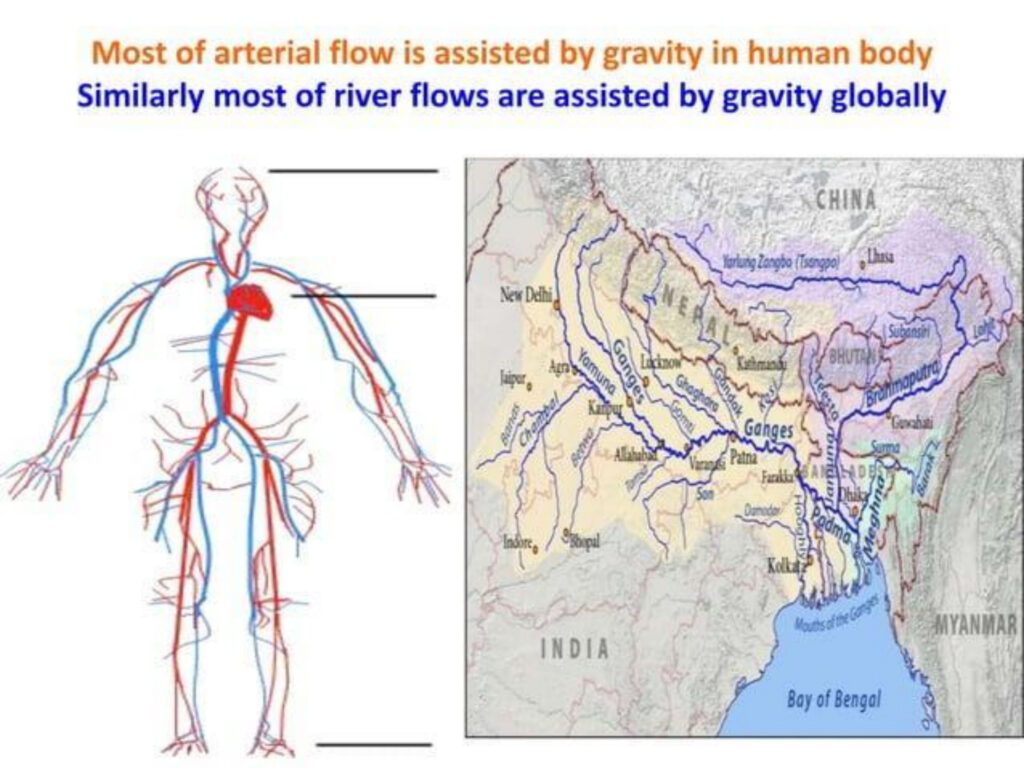 Prakriti foundation ppt-15