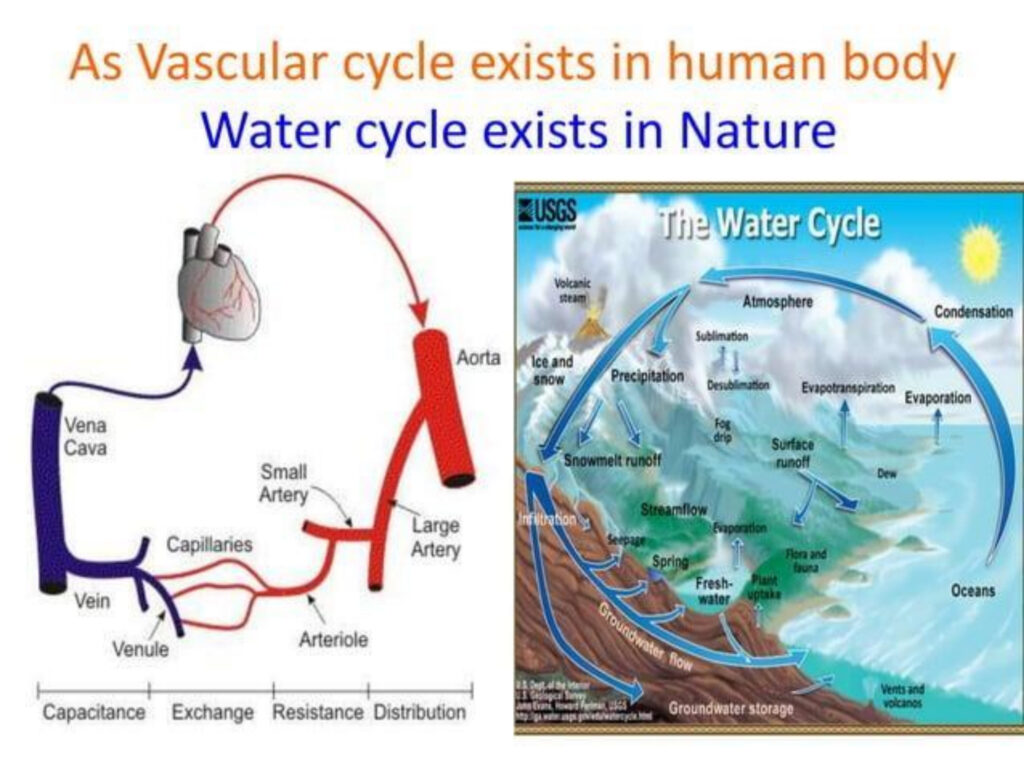 Prakriti foundation ppt-7